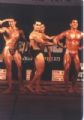 תחרות מר ישראל 1993 NABA