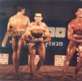 תחרות מר ישראל 1993 NABA